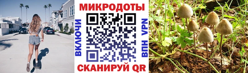 Псилоцибиновые грибы Magic Shrooms Арсеньев